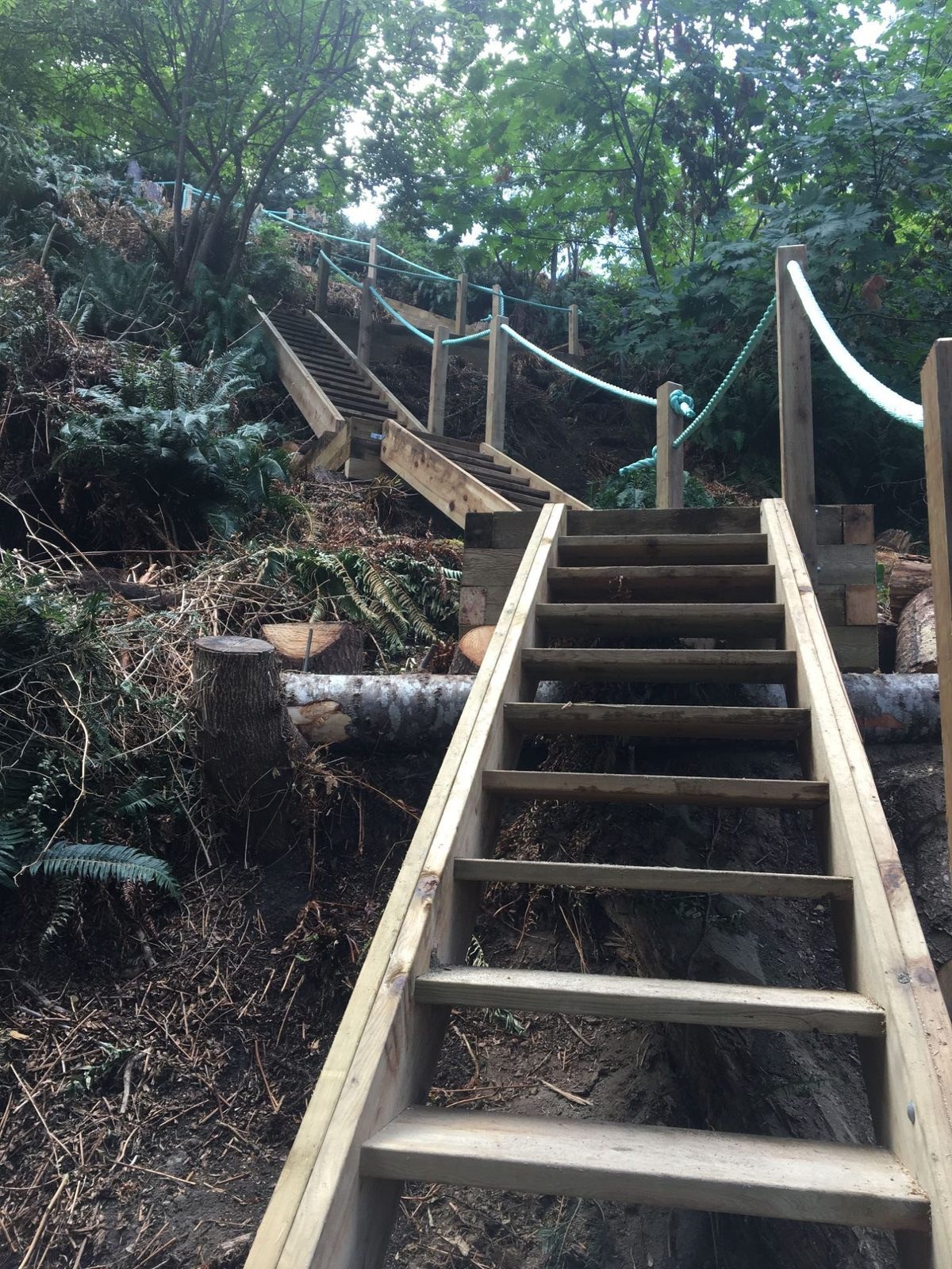 Old Craft Carpentry project on Quadra Island, BC