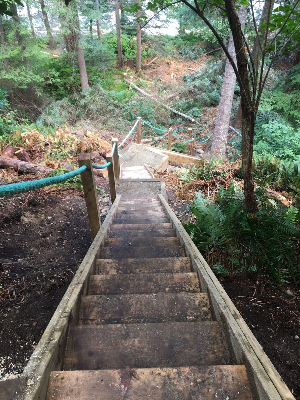 Old Craft Carpentry project on Quadra Island, BC
