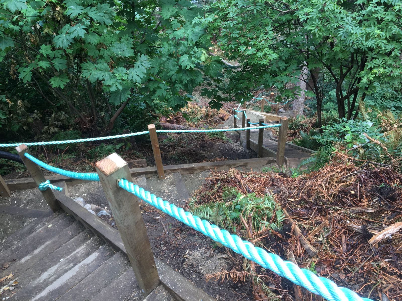 Close view of rope railings on timber posts beside wooden beach-access stairs