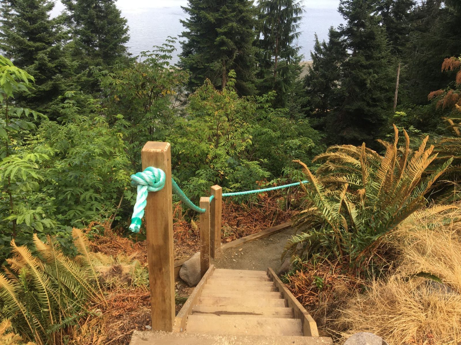 Top of wooden beach-access stairs with cedar post and rope railing on a forested coastal slope