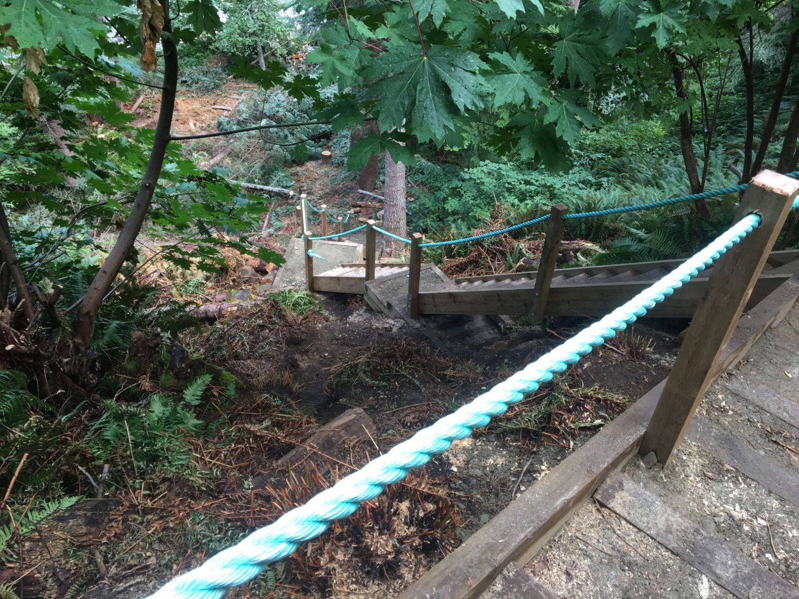 Wooden walkway and small landing with rope railing crossing a forested slope on a beach-access path