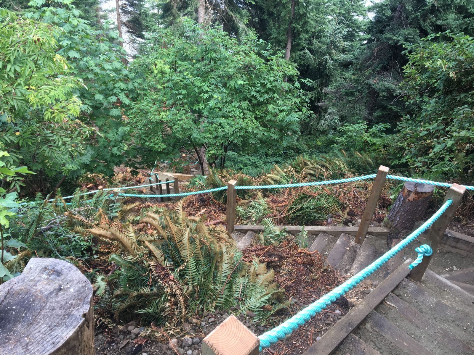 Rope-and-post railing along a hillside switchback section of a forested beach-access build