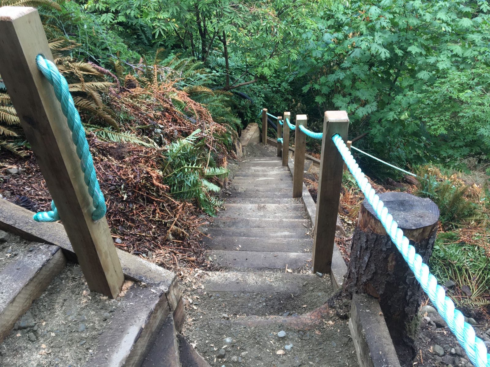 Wooden staircase descending a slope with timber posts and rope railing on both sides through forest