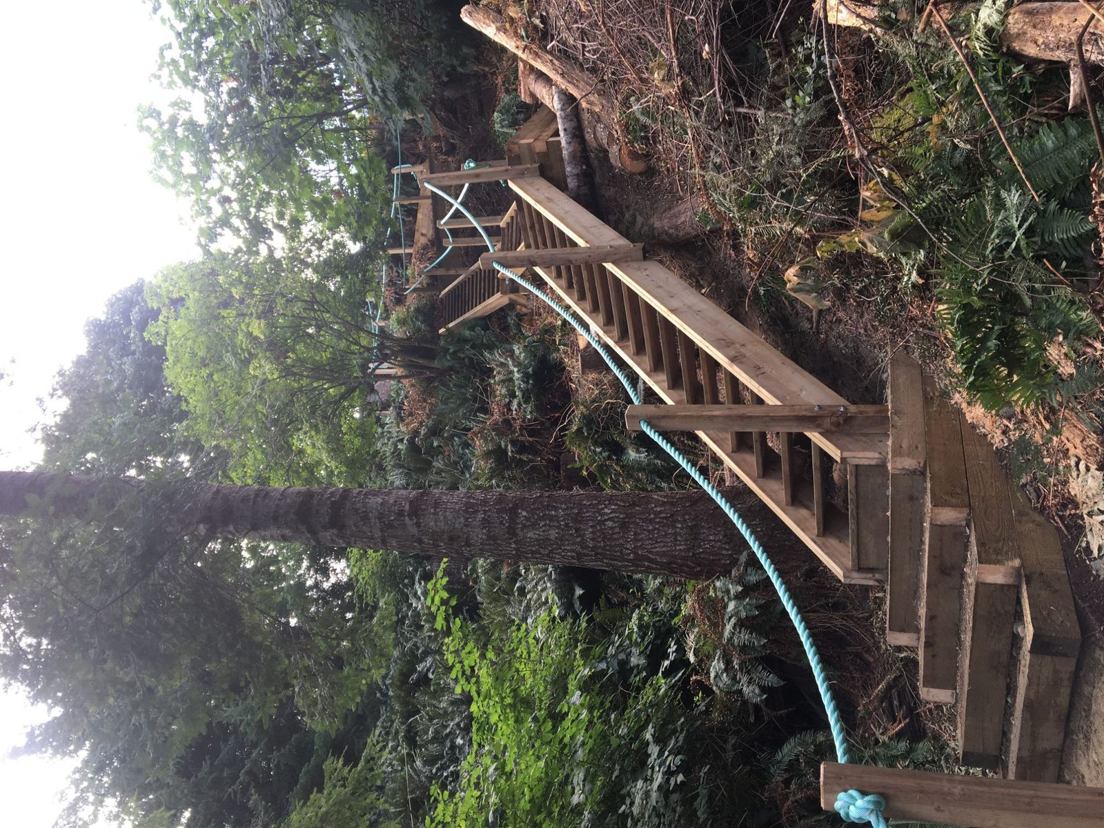 Wooden beach-access staircase with rope railing descending beside large trees toward the waterfront