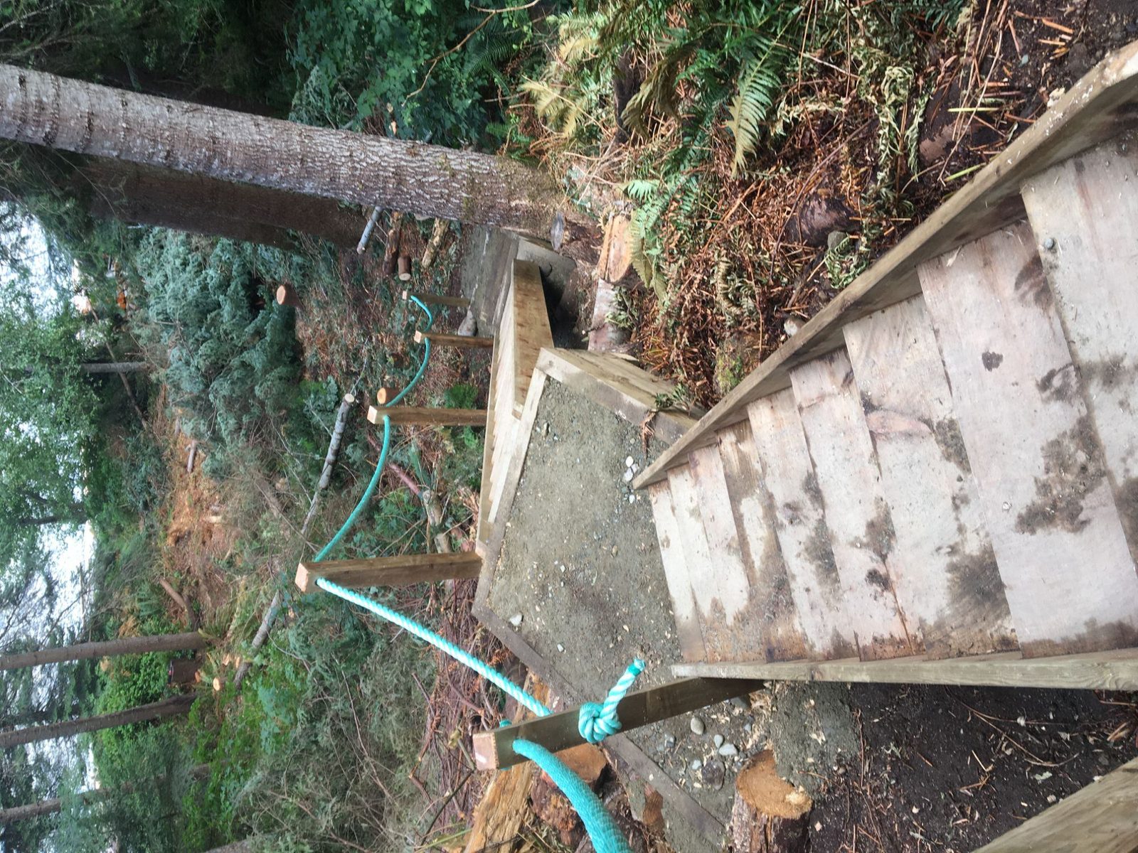 Switchback wooden stairs and landing under construction on a forested slope with rope railing