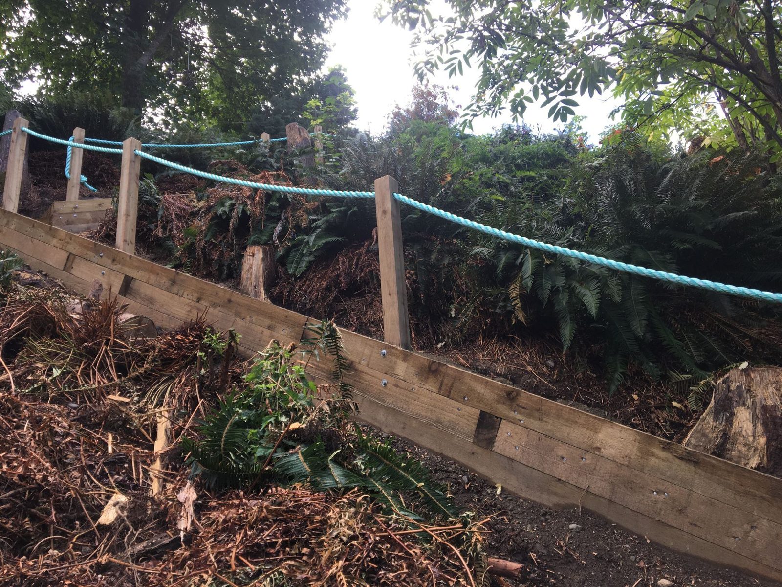 Timber retaining wall with posts and rope railing built into a forested slope on a beach-access build