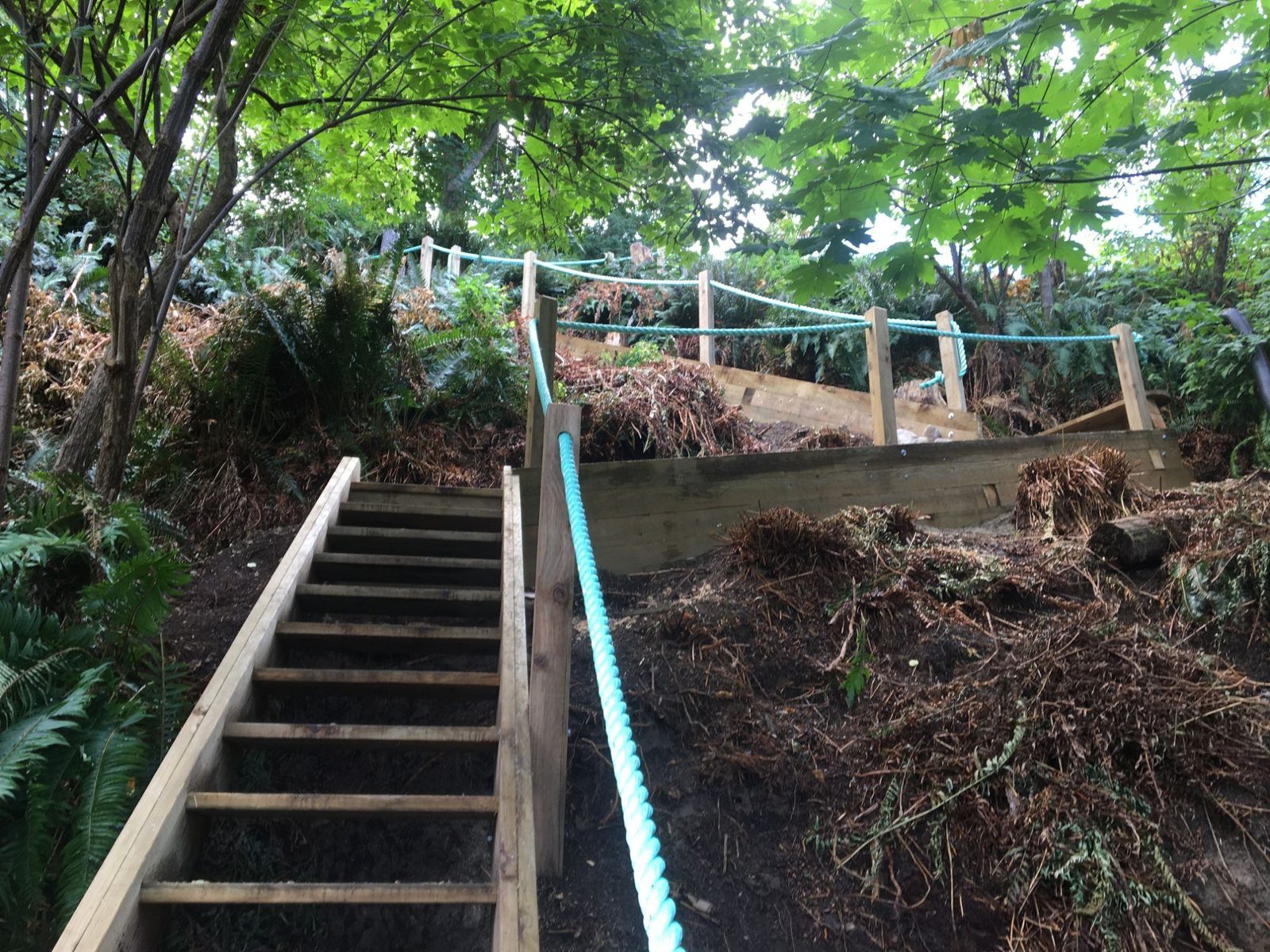 Wooden stairs leading up to a landing with timber retaining wall and rope railing under leafy canopy