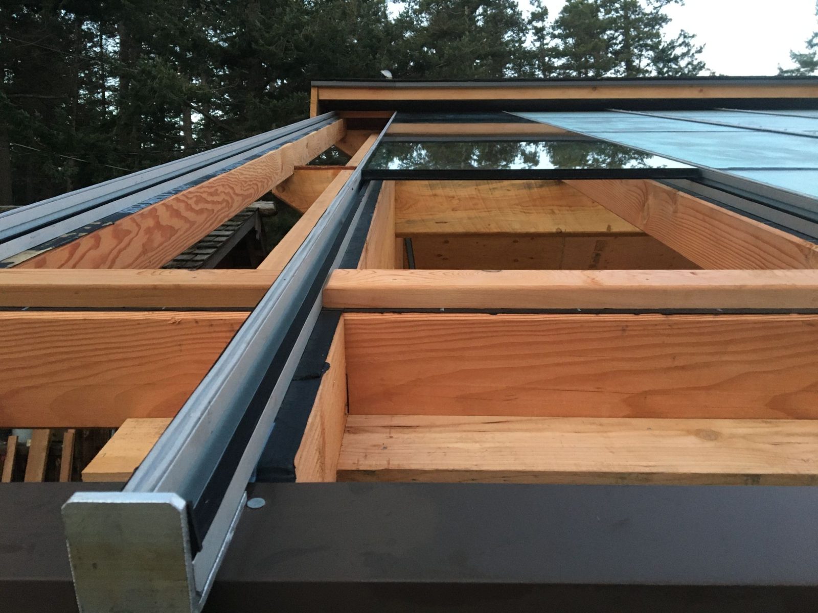 Close-up of greenhouse glass roof glazing meeting fir beams and metal flashing, looking up at forest sky, Quadra Island
