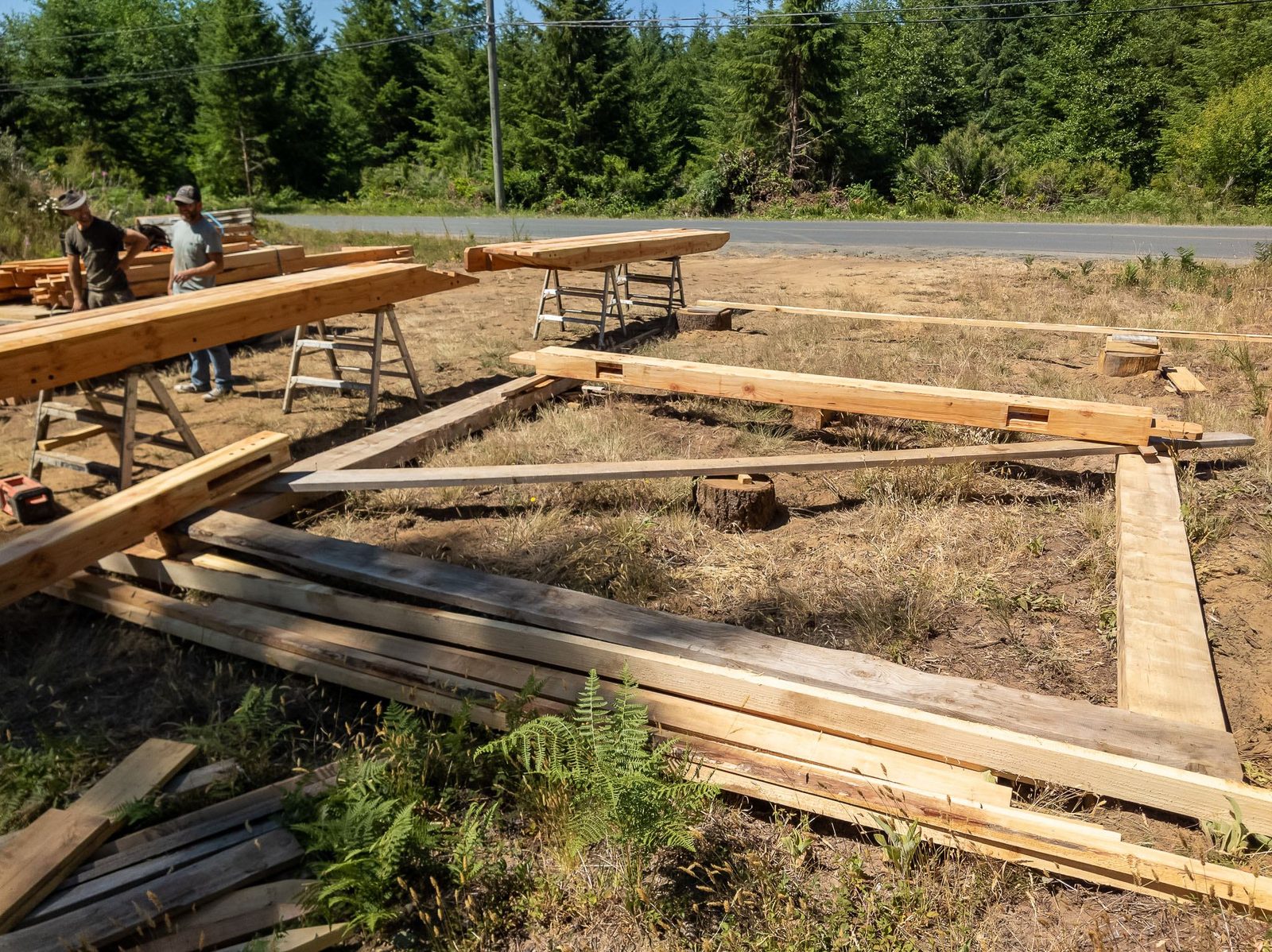 Workers and draft horses among timber frame beams laid out on sawhorses in a clearing on Quadra Island