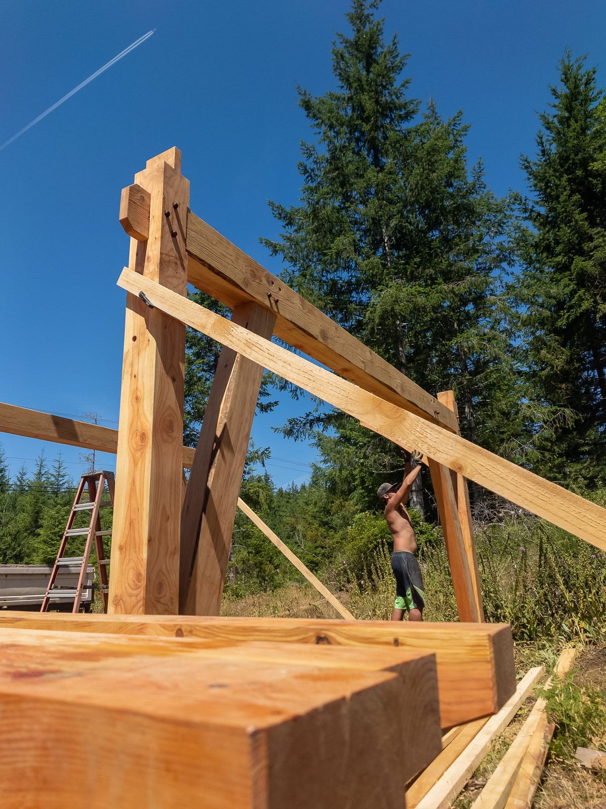 Low-angle view of a carpenter setting a knee brace on a tall timber frame bent on Quadra Island