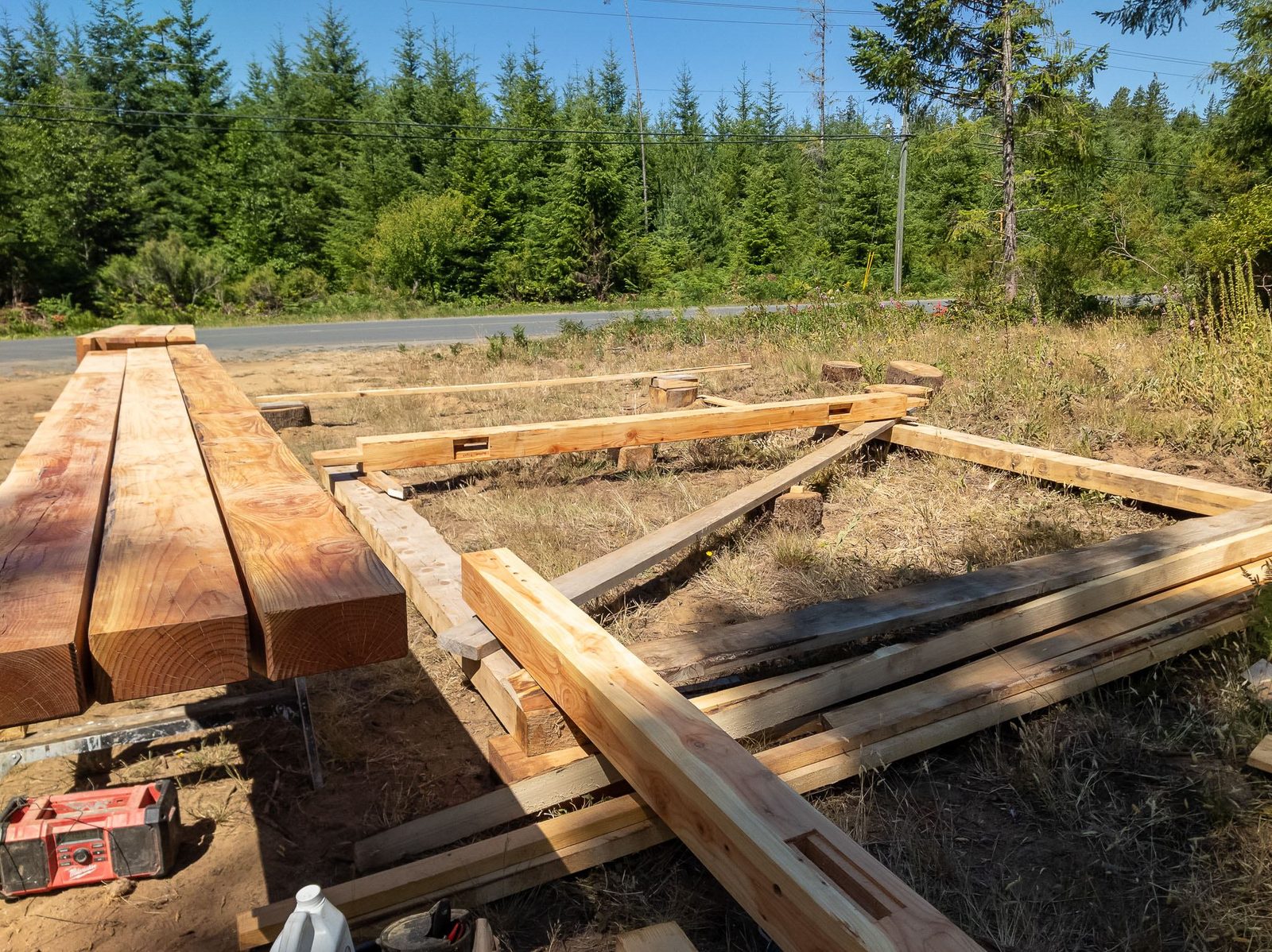 Timber frame beams laid out on sawhorses in a grassy clearing with horses and forest beyond on Quadra Island
