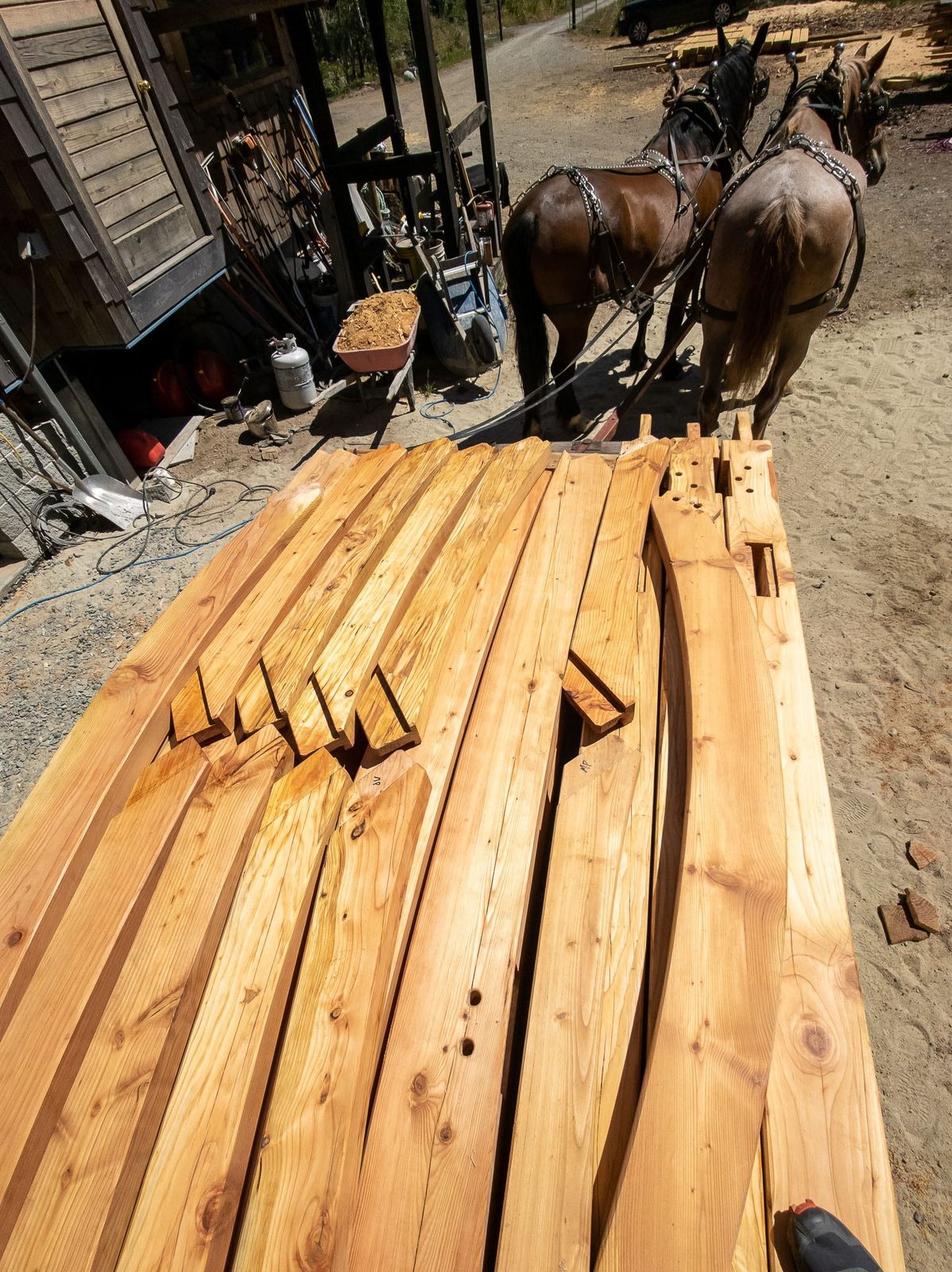 Close view of stacked timber frame beams with tenons on a wagon, draft horses behind on Quadra Island