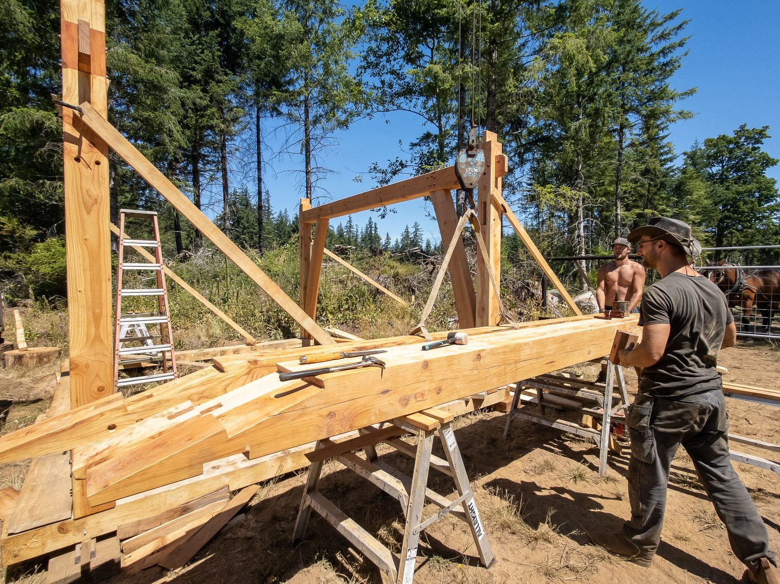 Carpenters working a long timber rafter on sawhorses with an assembled bent behind on Quadra Island
