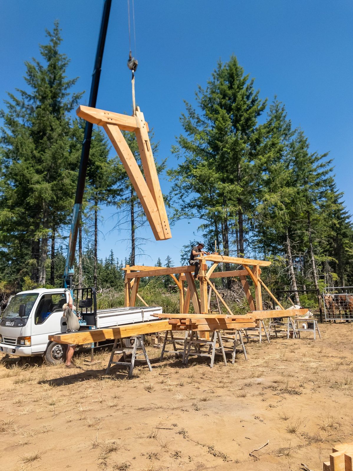 Crane lifting an assembled rafter pair high above a timber frame work site on Quadra Island