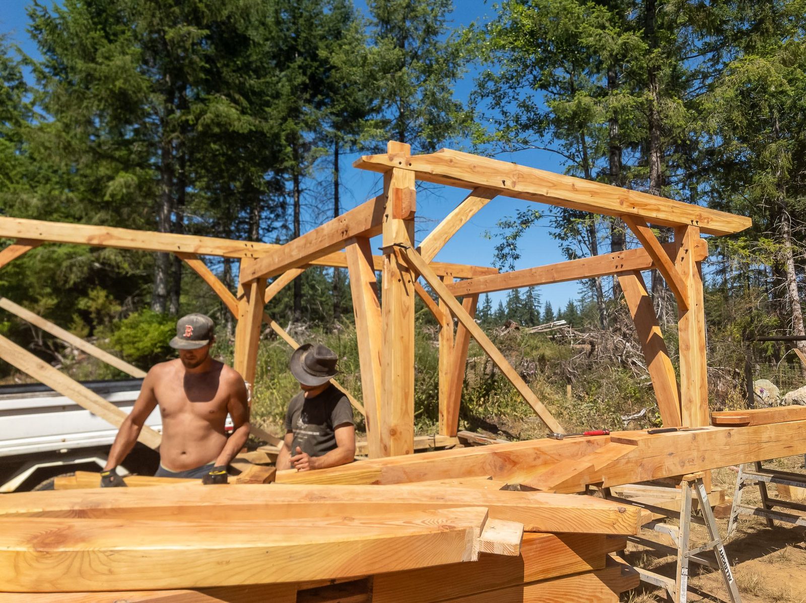 Timber frame structure with posts, braces, ridge and rafters taking shape on Quadra Island