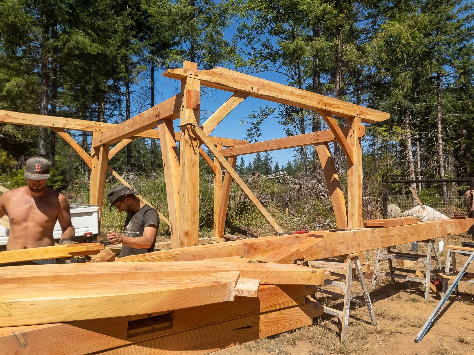 Assembled timber frame with posts, braces, ridge and rafters in a forest clearing on Quadra Island
