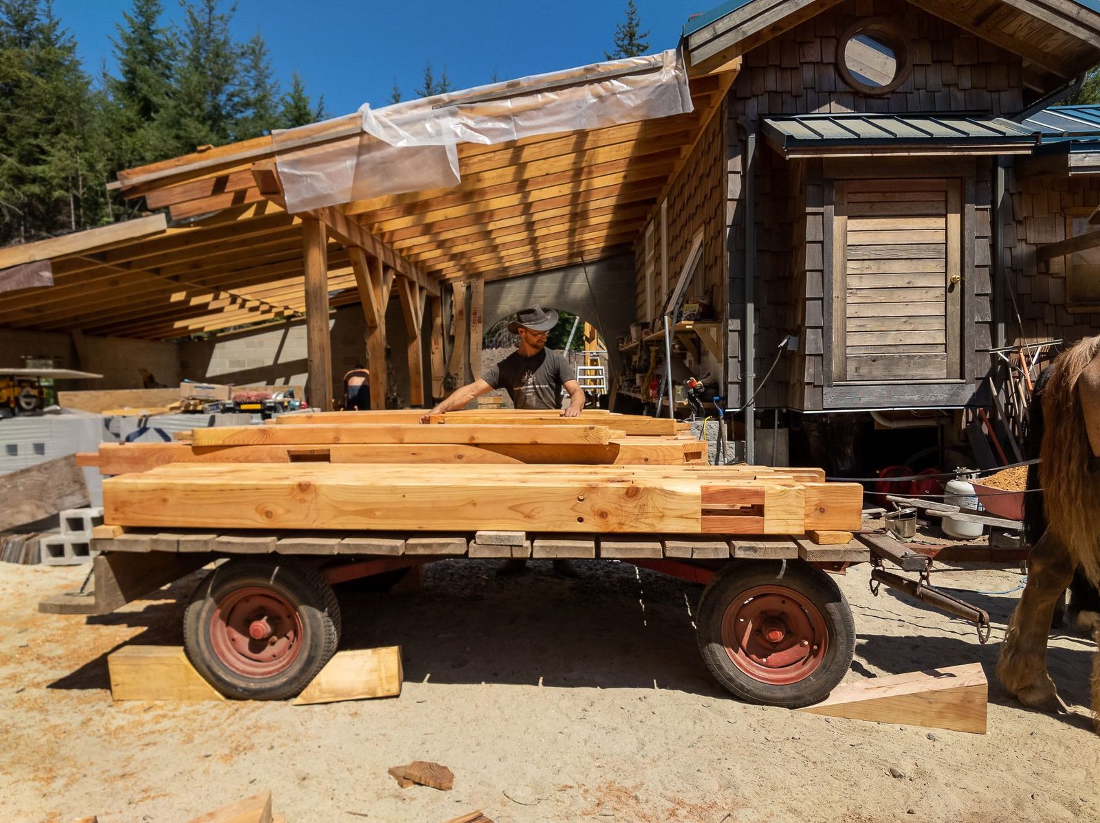 Carpenter loading milled timbers onto a horse-drawn wagon at a Quadra Island timber frame yard