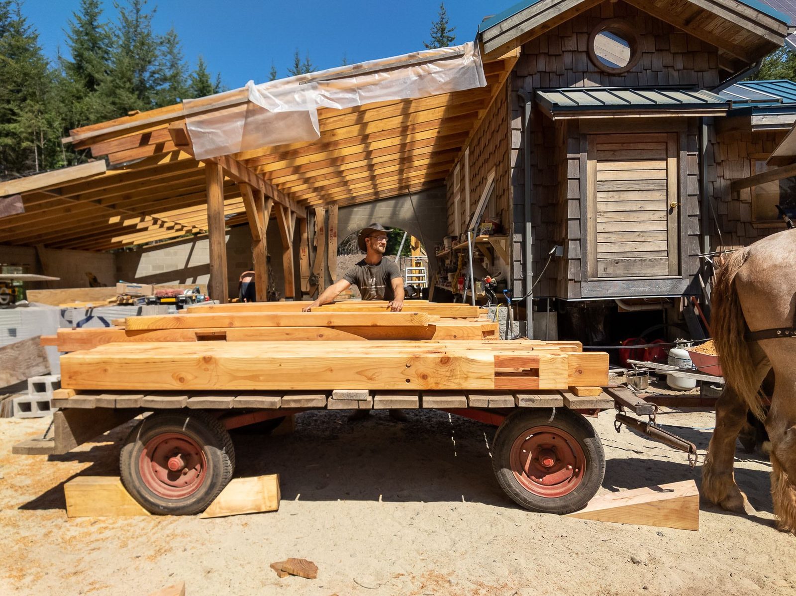 Stacked timber frame beams on a horse-drawn cart outside a rustic carpentry workshop on Quadra Island