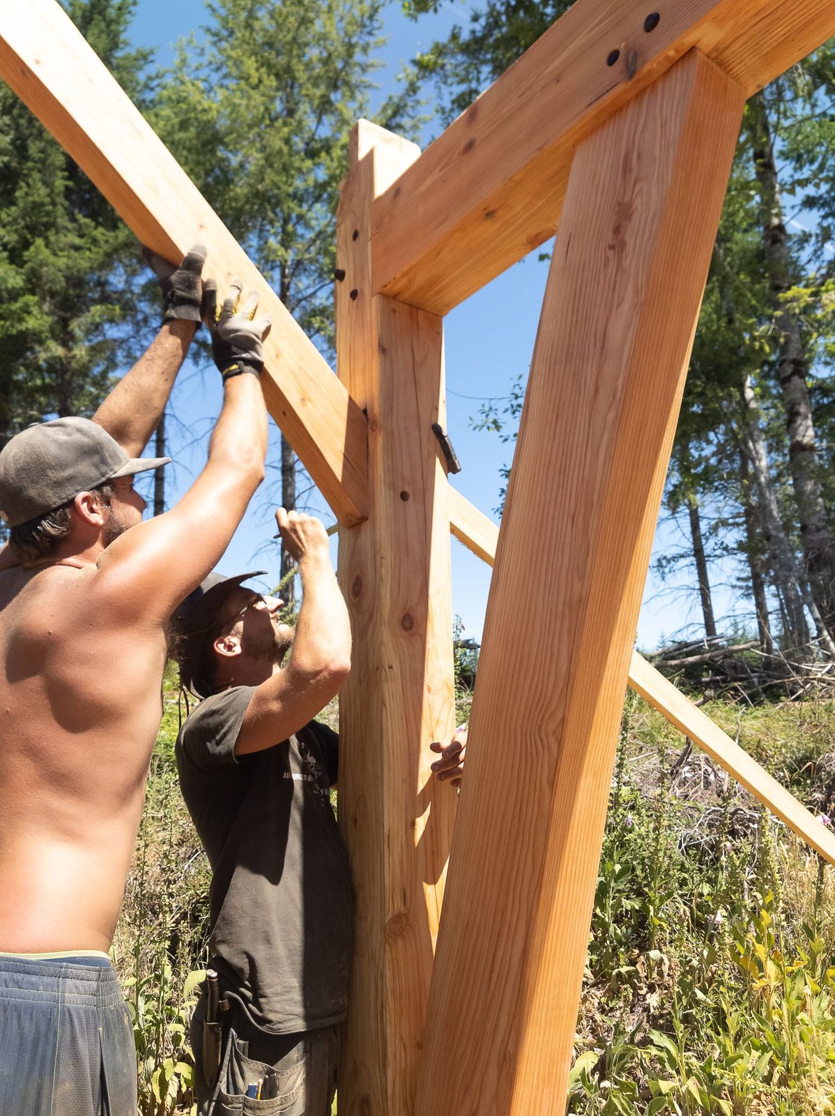 Two carpenters fitting a diagonal brace into a timber frame post in green forest on Quadra Island